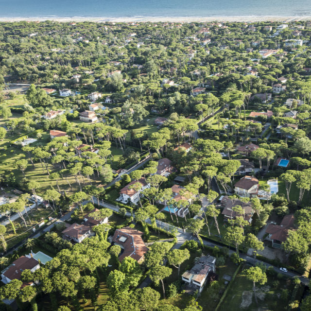 Panoramic flight